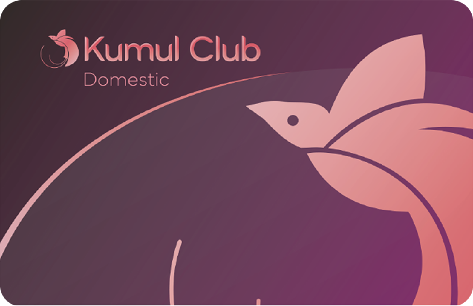 KUMUL CLUB DOMESTIC - Air Niugini