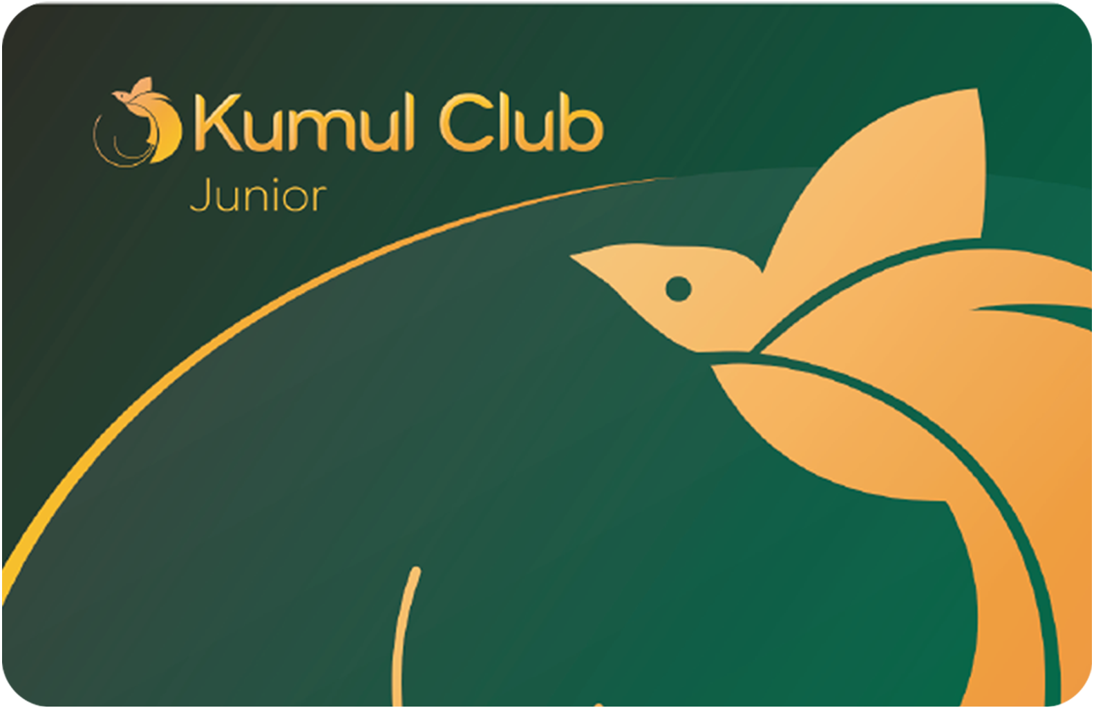 KUMUL CLUB JUNIOR - Air Niugini